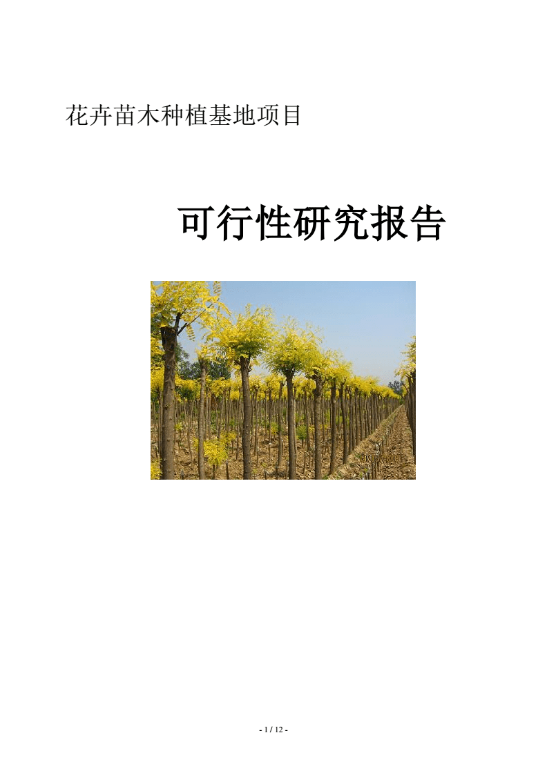 花卉苗木种植基地项目可研报告